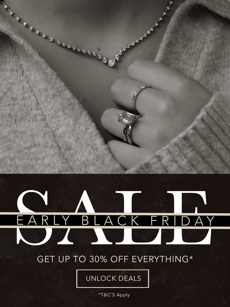 Black Friday Sale